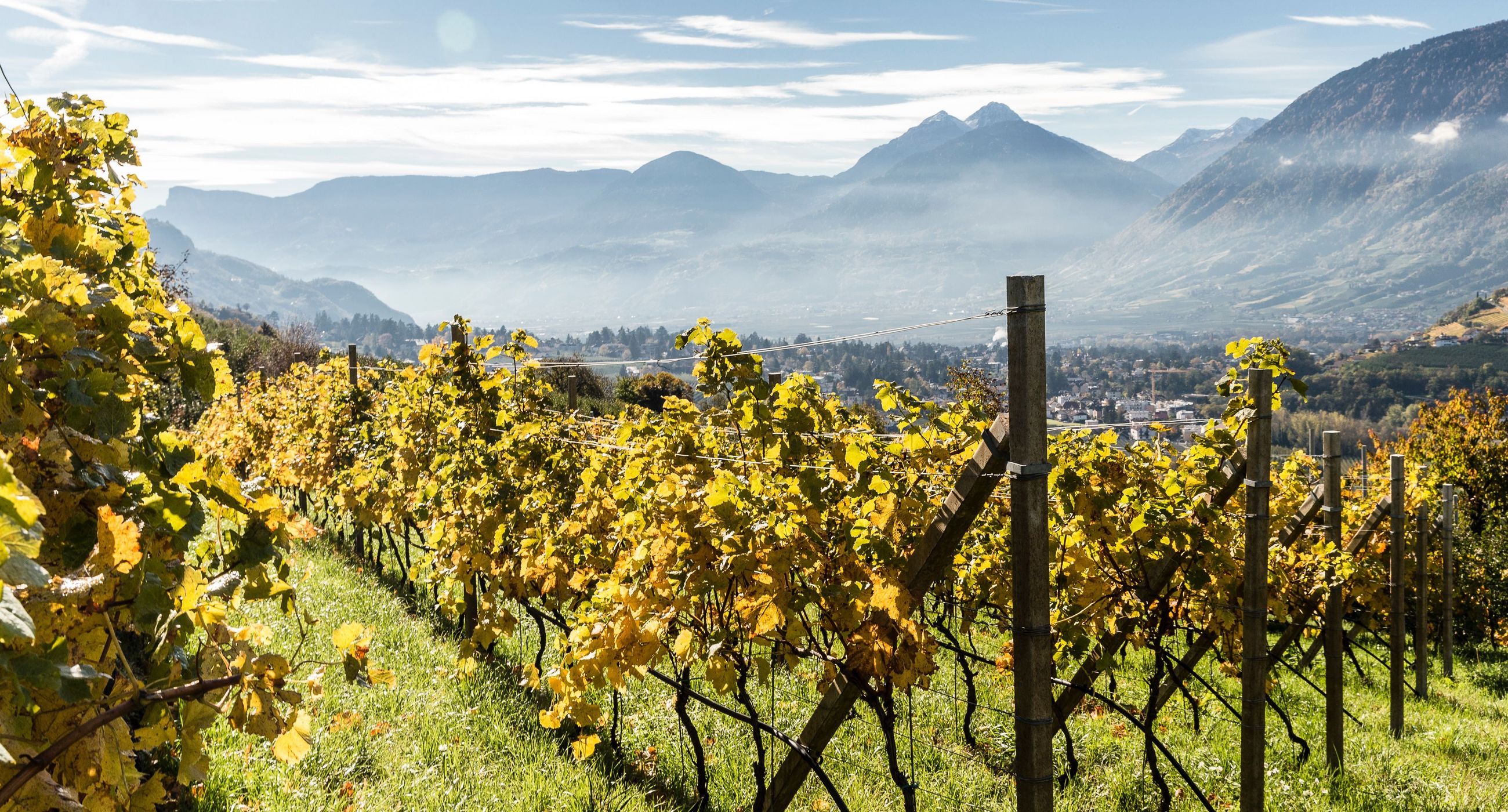 GOLDENER HERBST IN SCHENNA